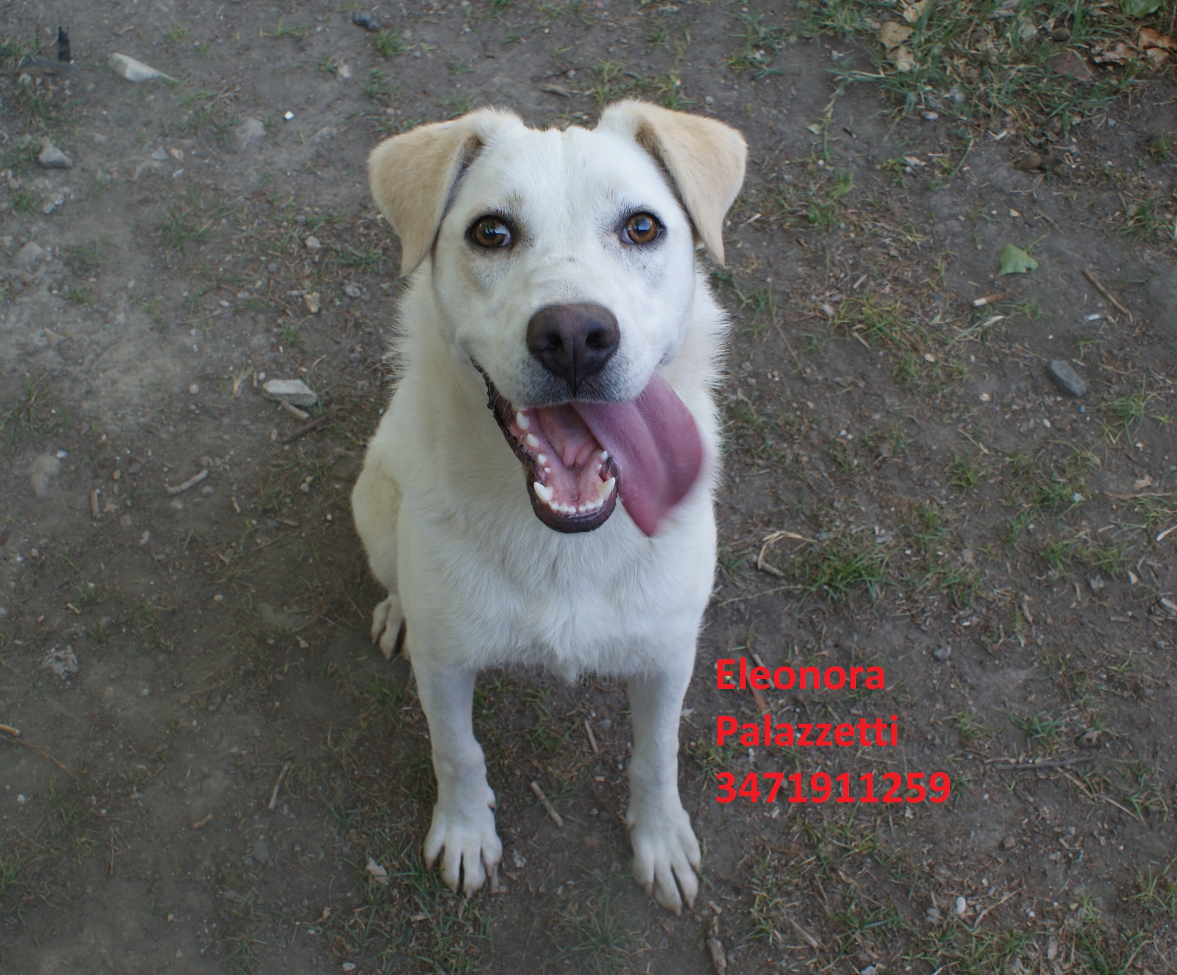 Consuelo 29.6.2020 n. 1