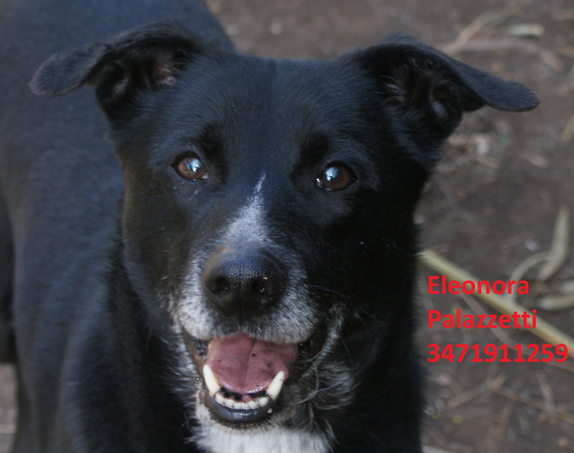 Emerson 19.2.2020 n. 2