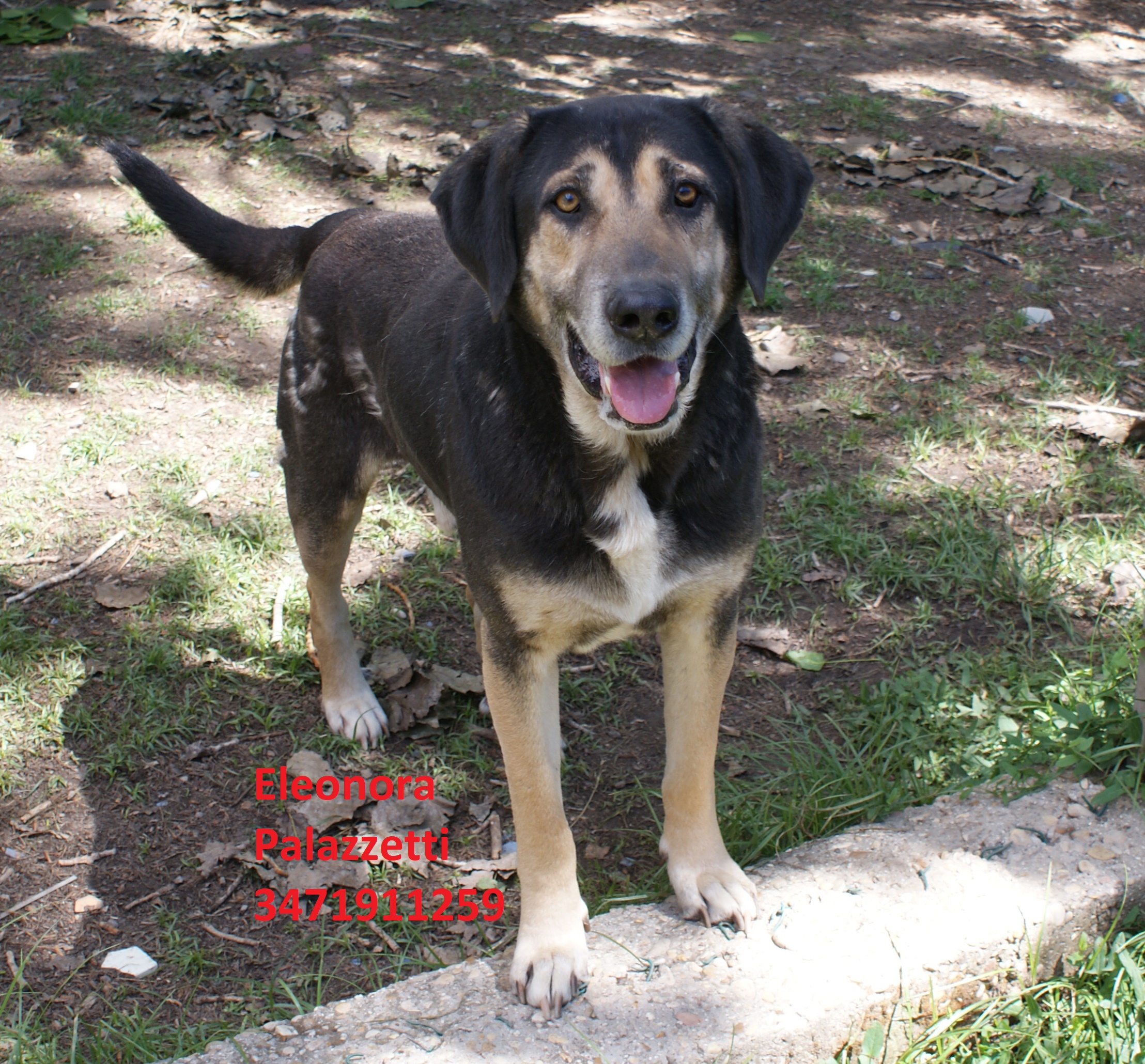 Gus 14.5.2019 n. 1
