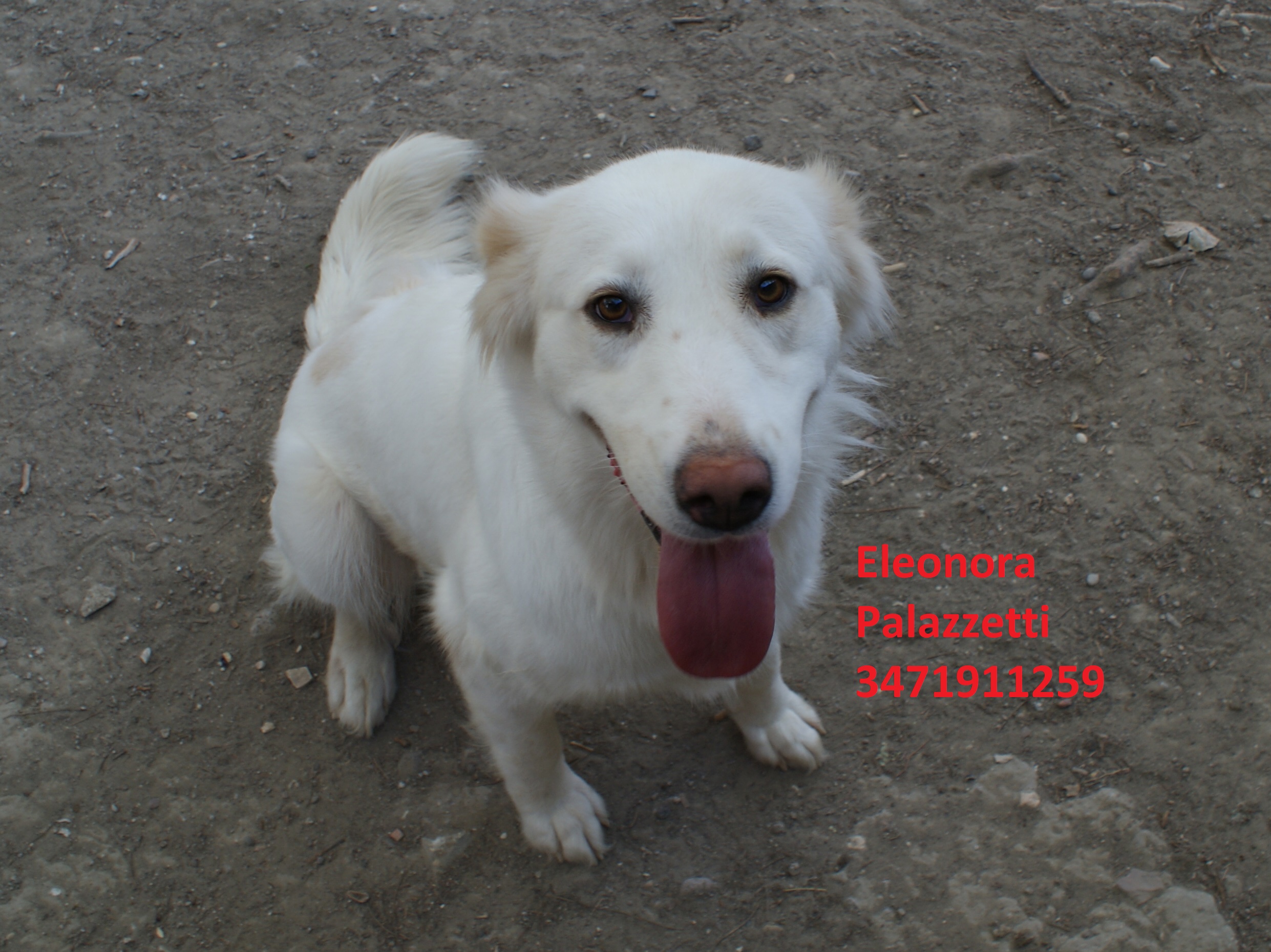 Molly 24.8.2020 n. 1