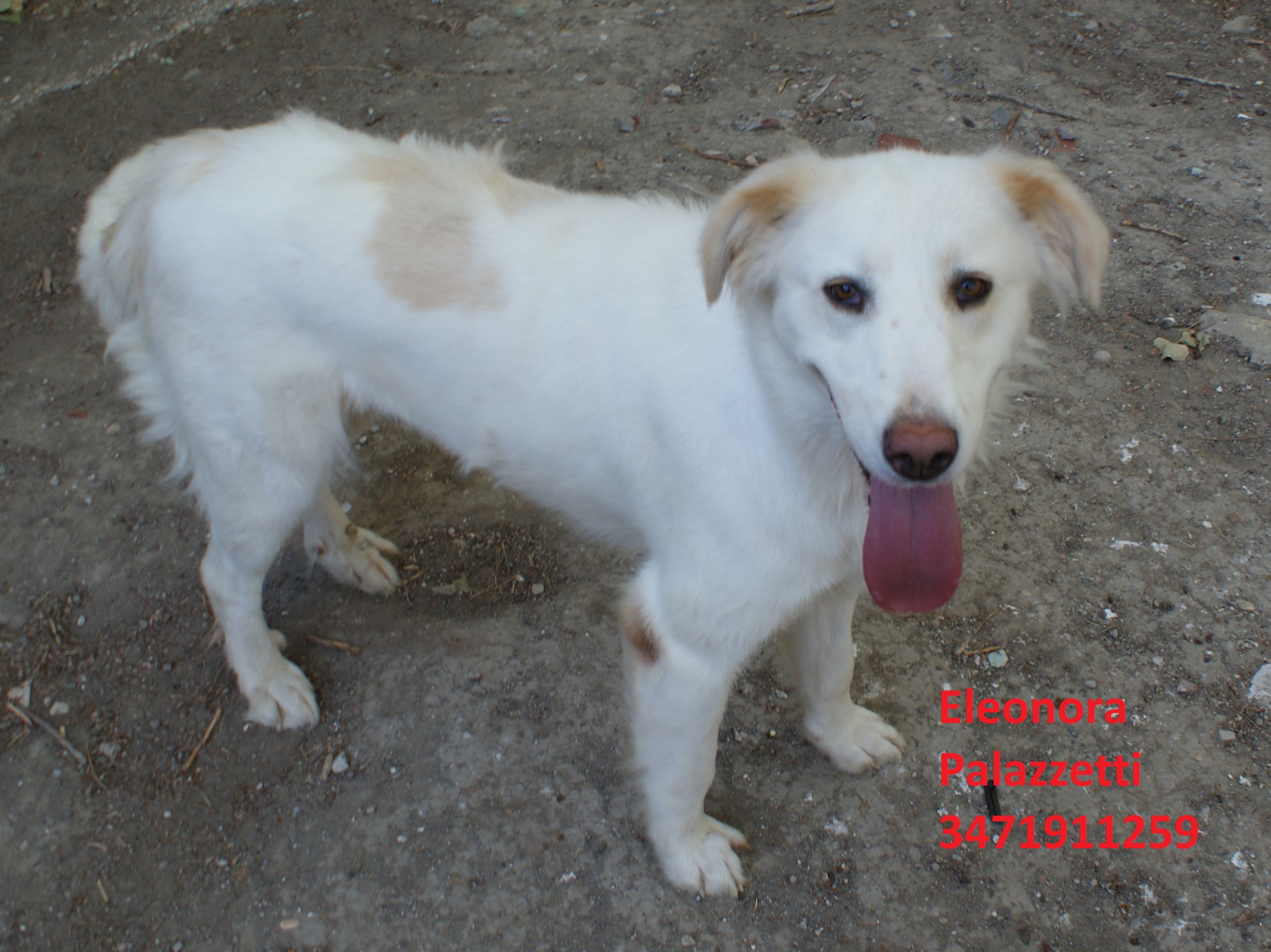 Molly 24.8.2020 n. 8