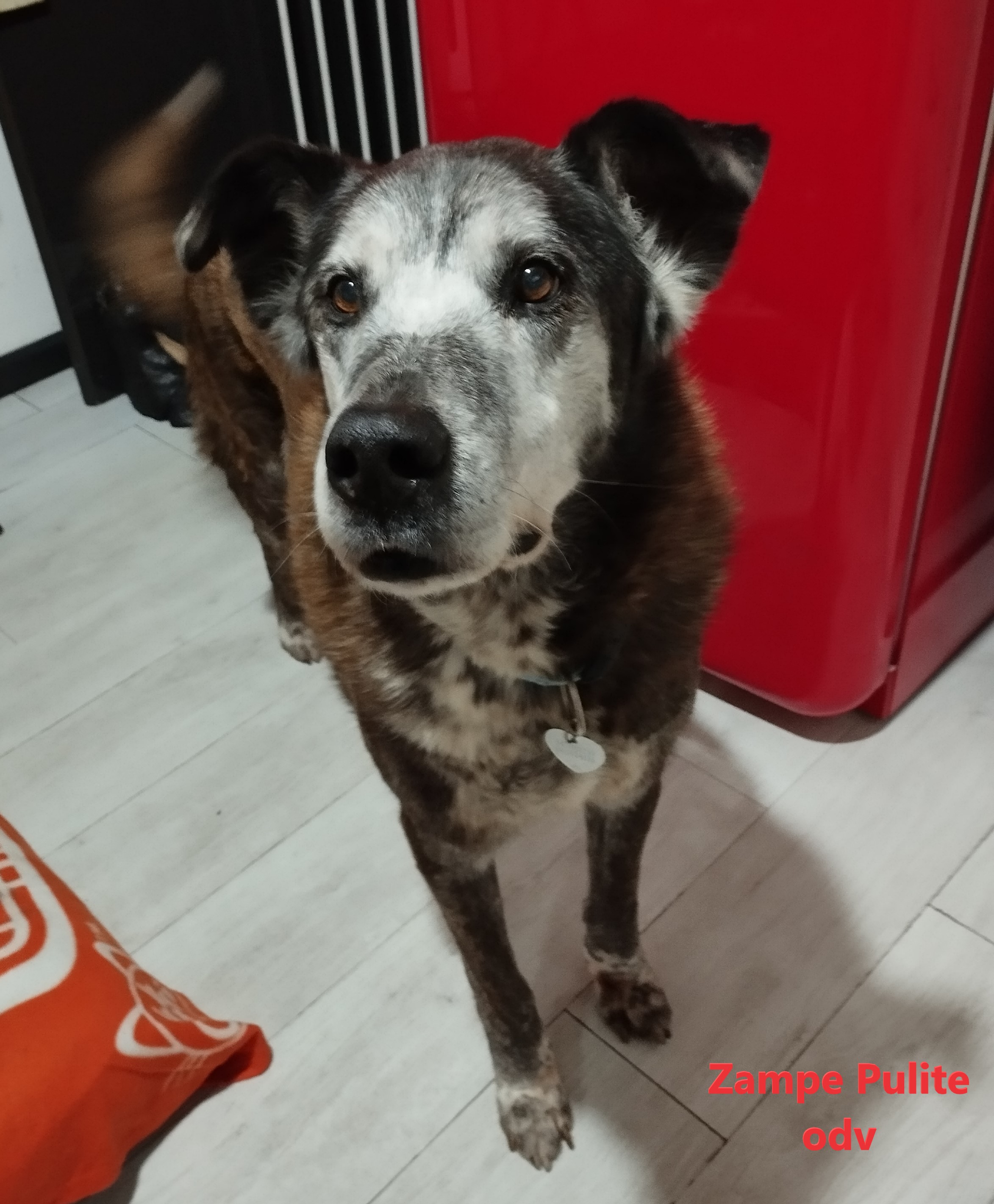 Rebus 22.01.2025 n. 1