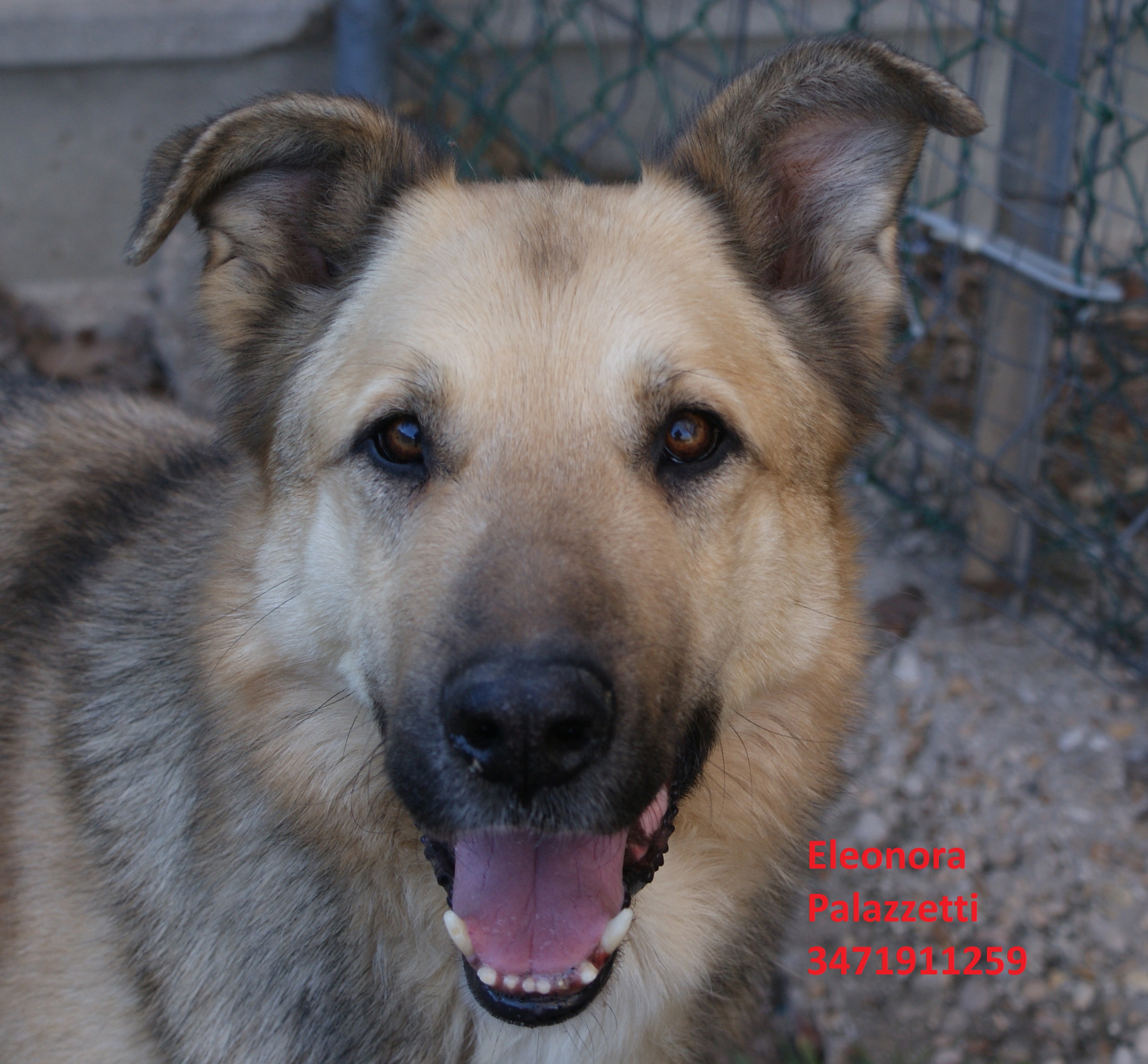 Rocky nf 12.3.2019 n. 1