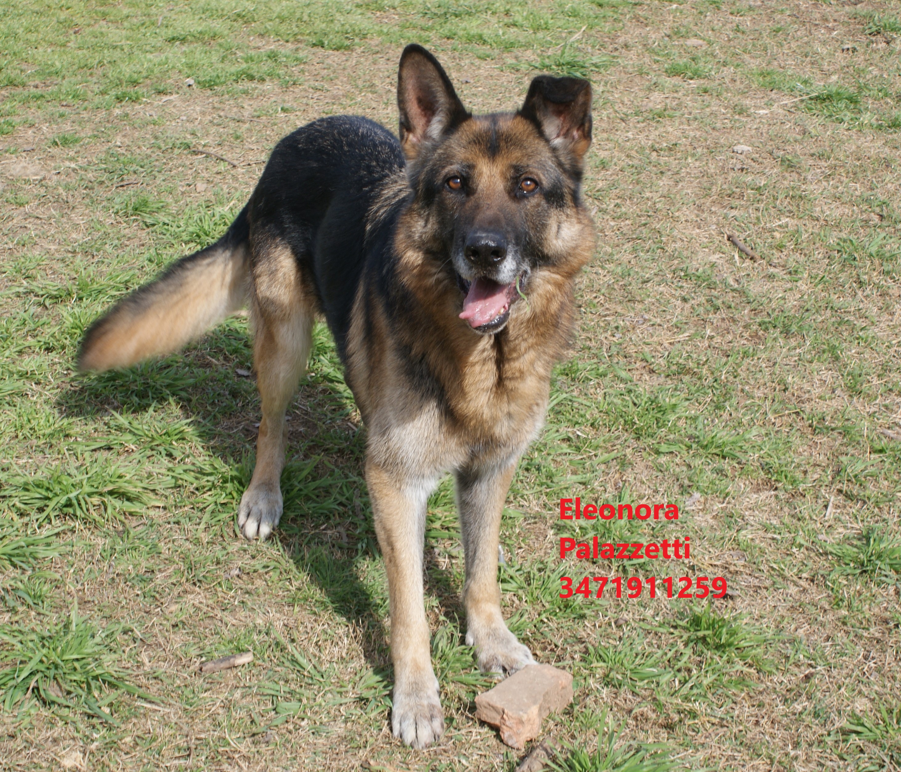 Heinze 11.3.2021 n. 2