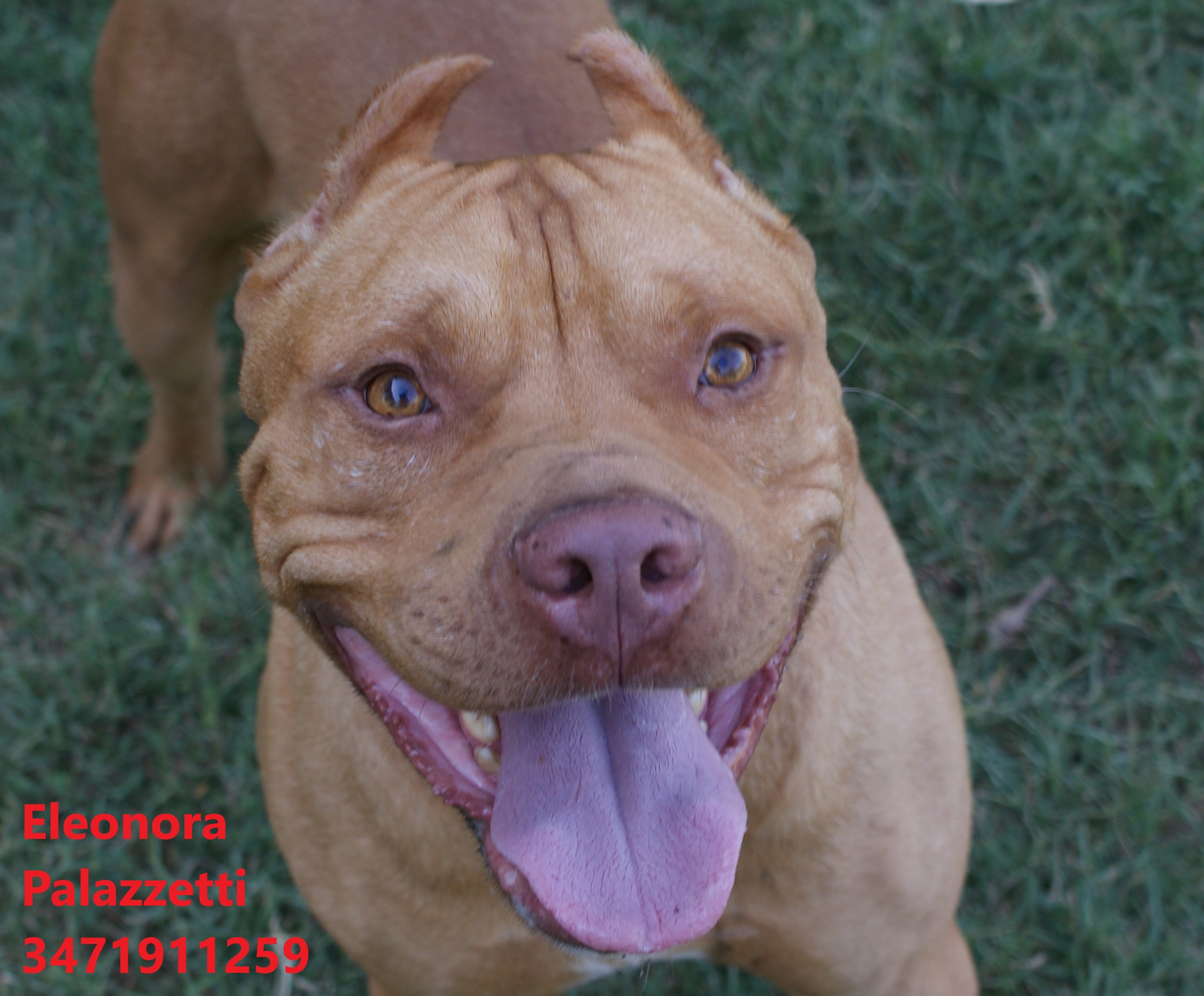 Sonny Junior 9.7.2021 n. 7