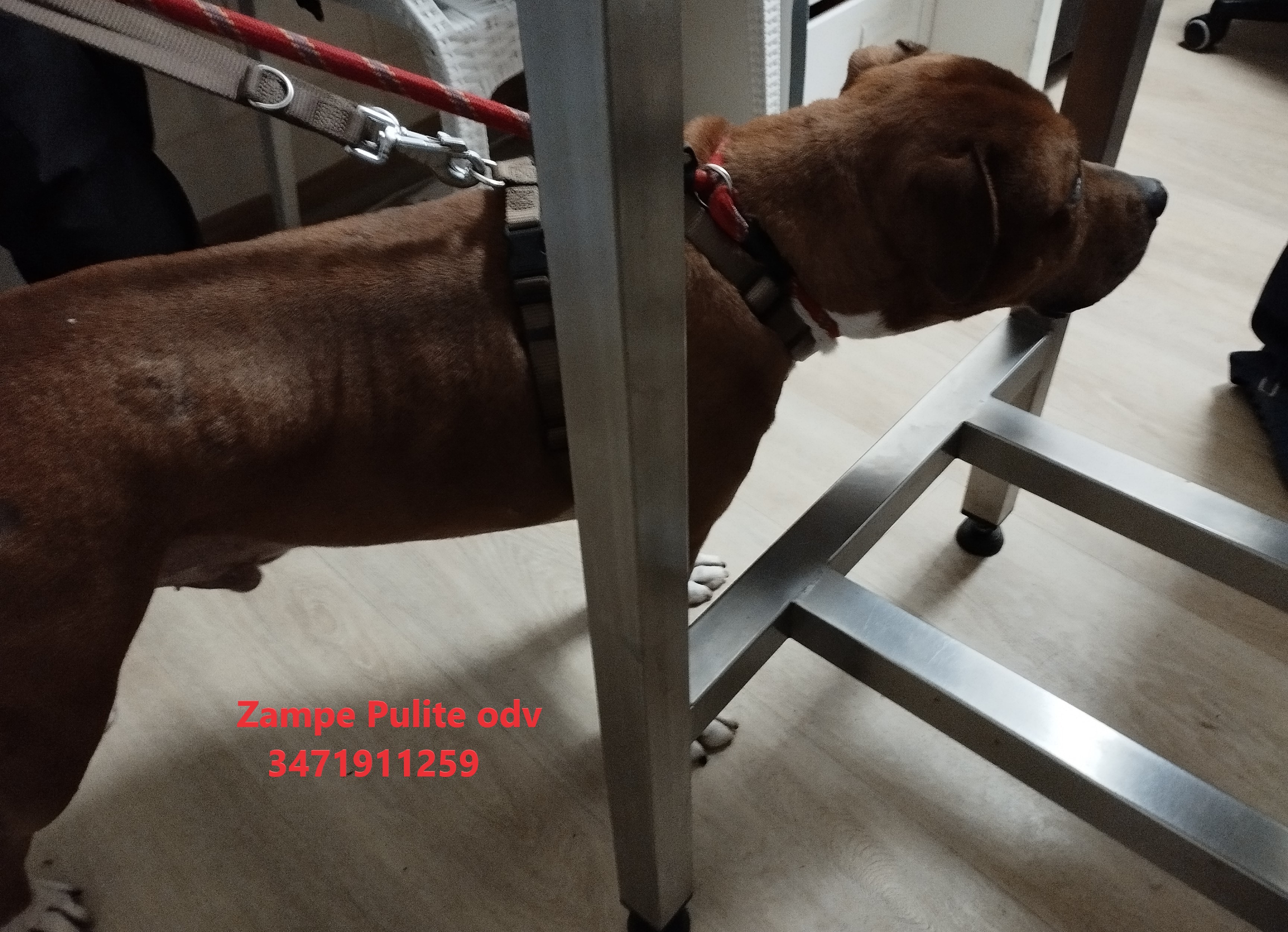 Bacco 18.01.2024 n. 7