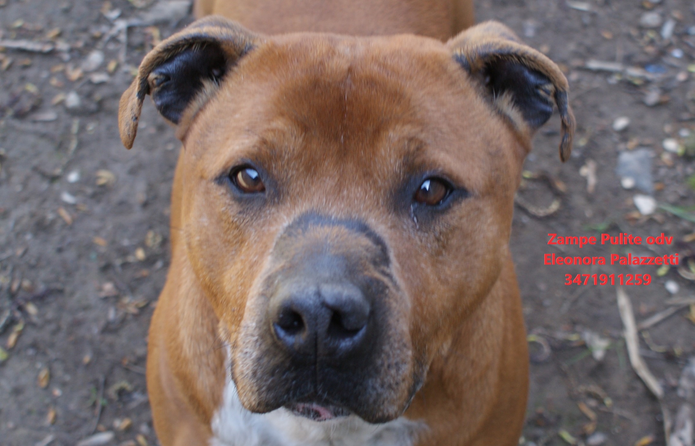 Bacco 6.04.2023 n. 2
