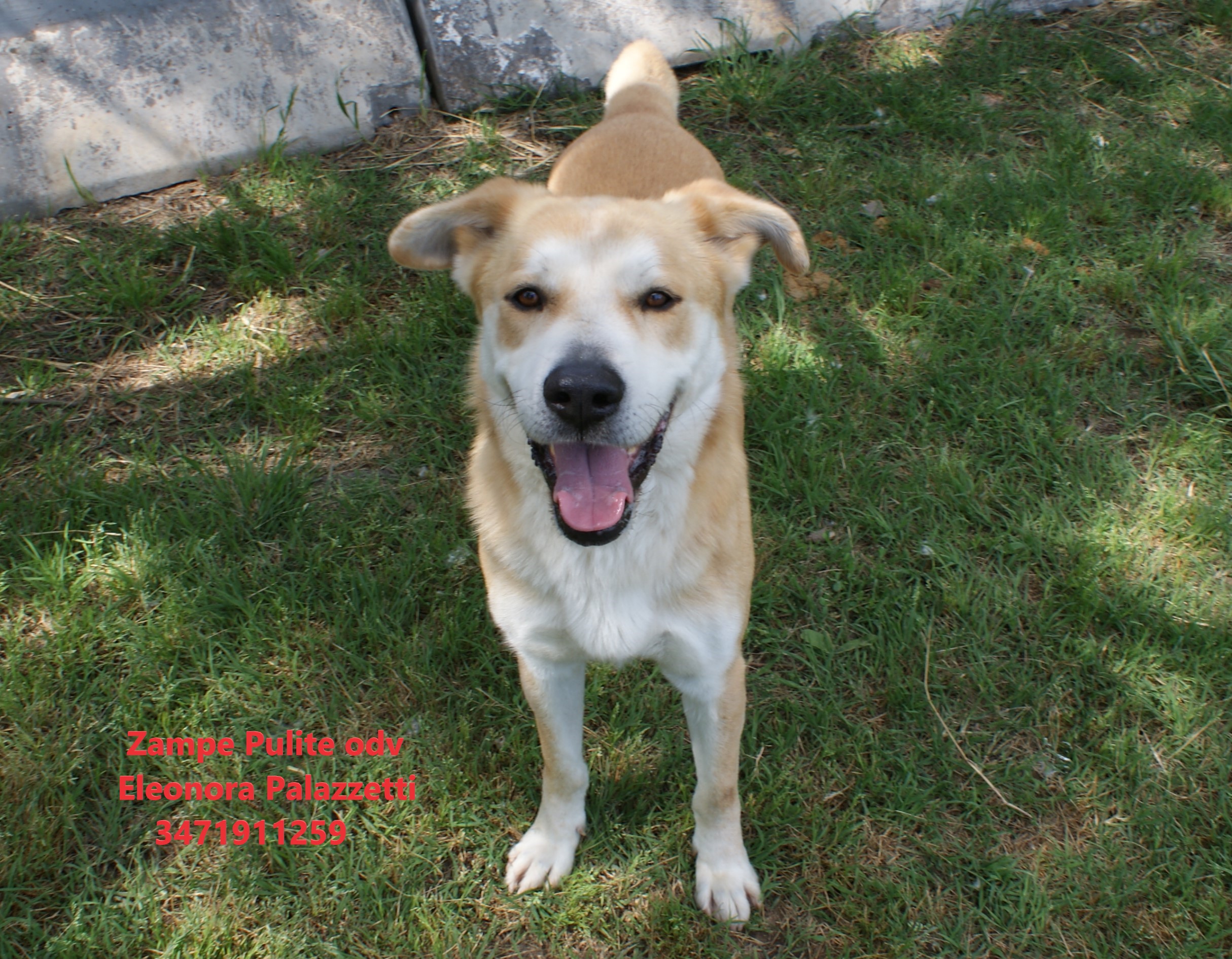 Baileys 9.05.2023 n. 1