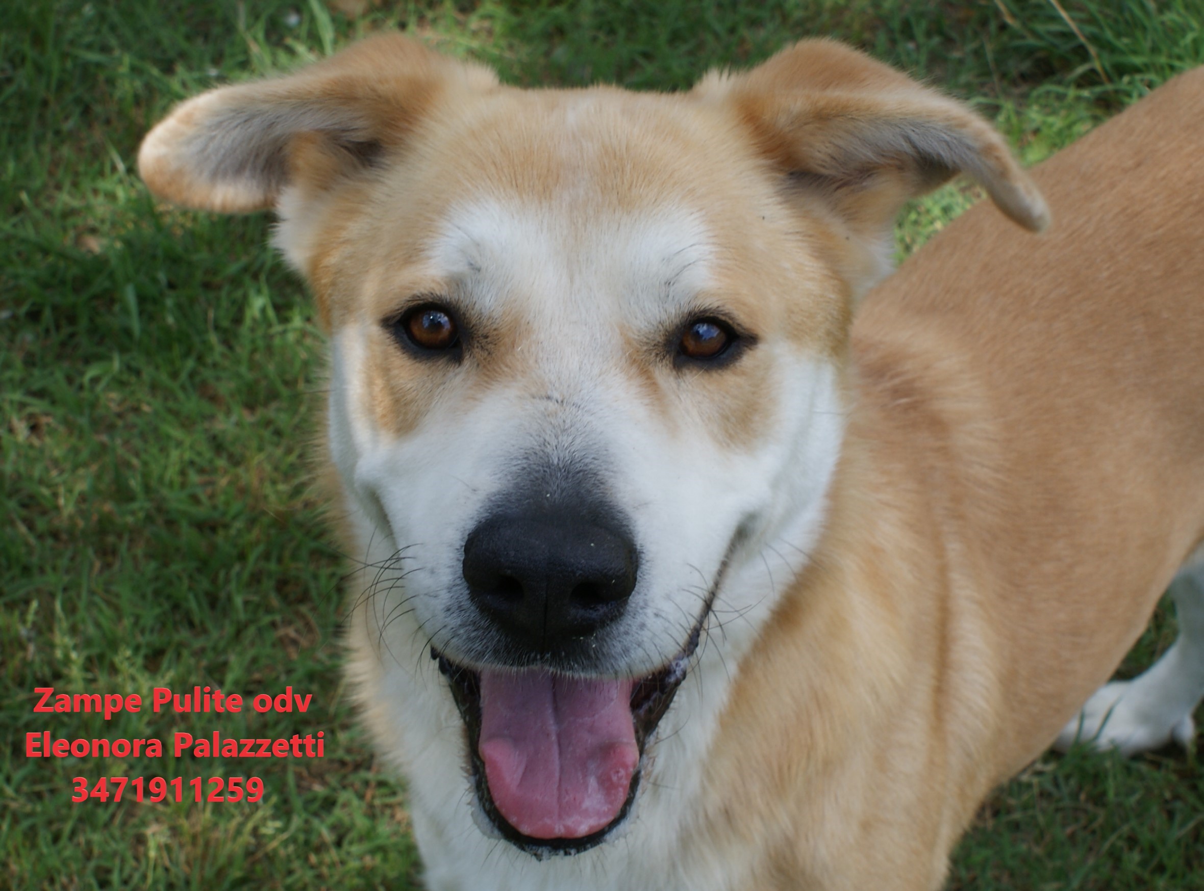 Baileys 9.05.2023 n. 3