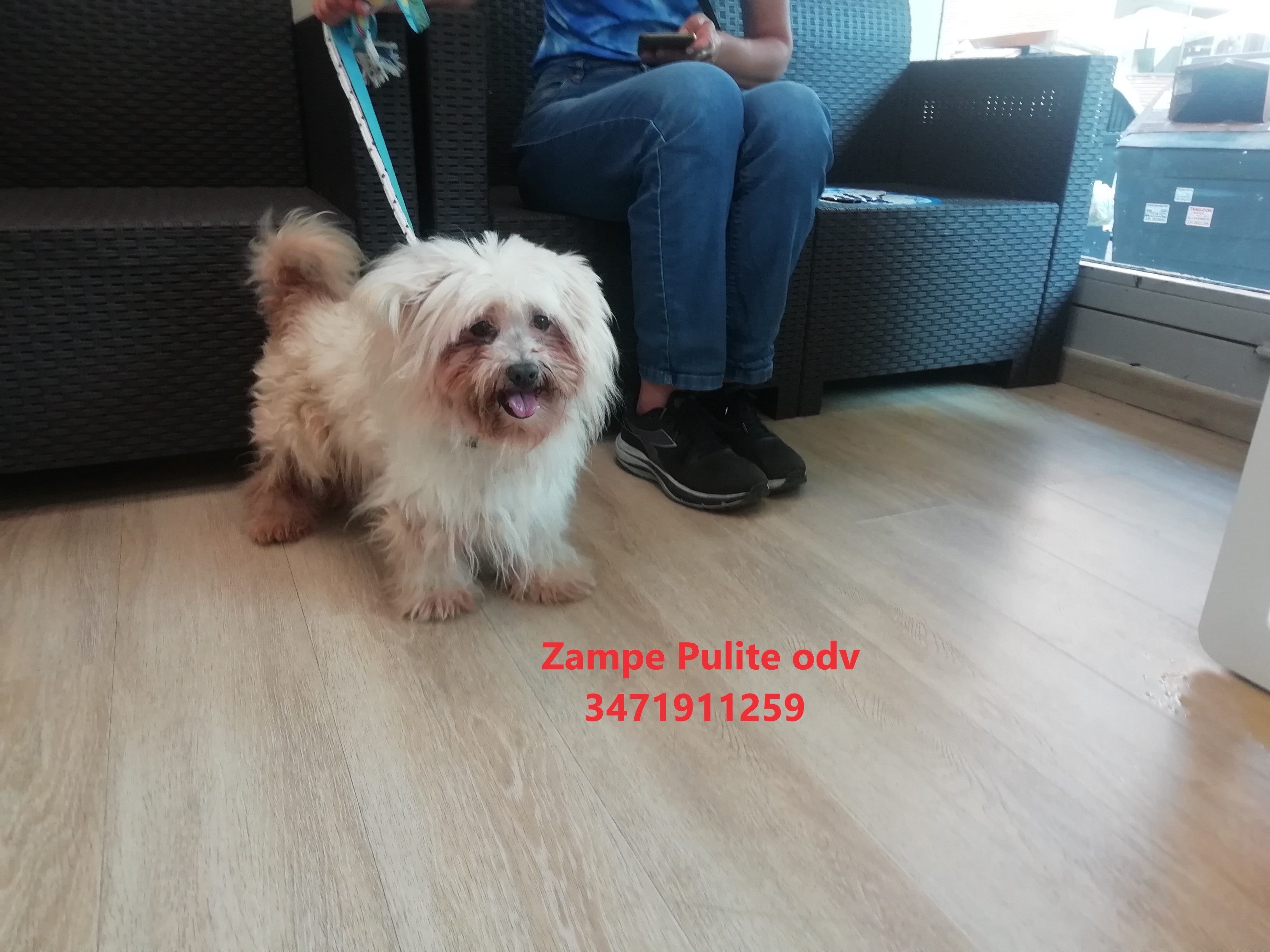 Birillo 28.06.2023 n. 3