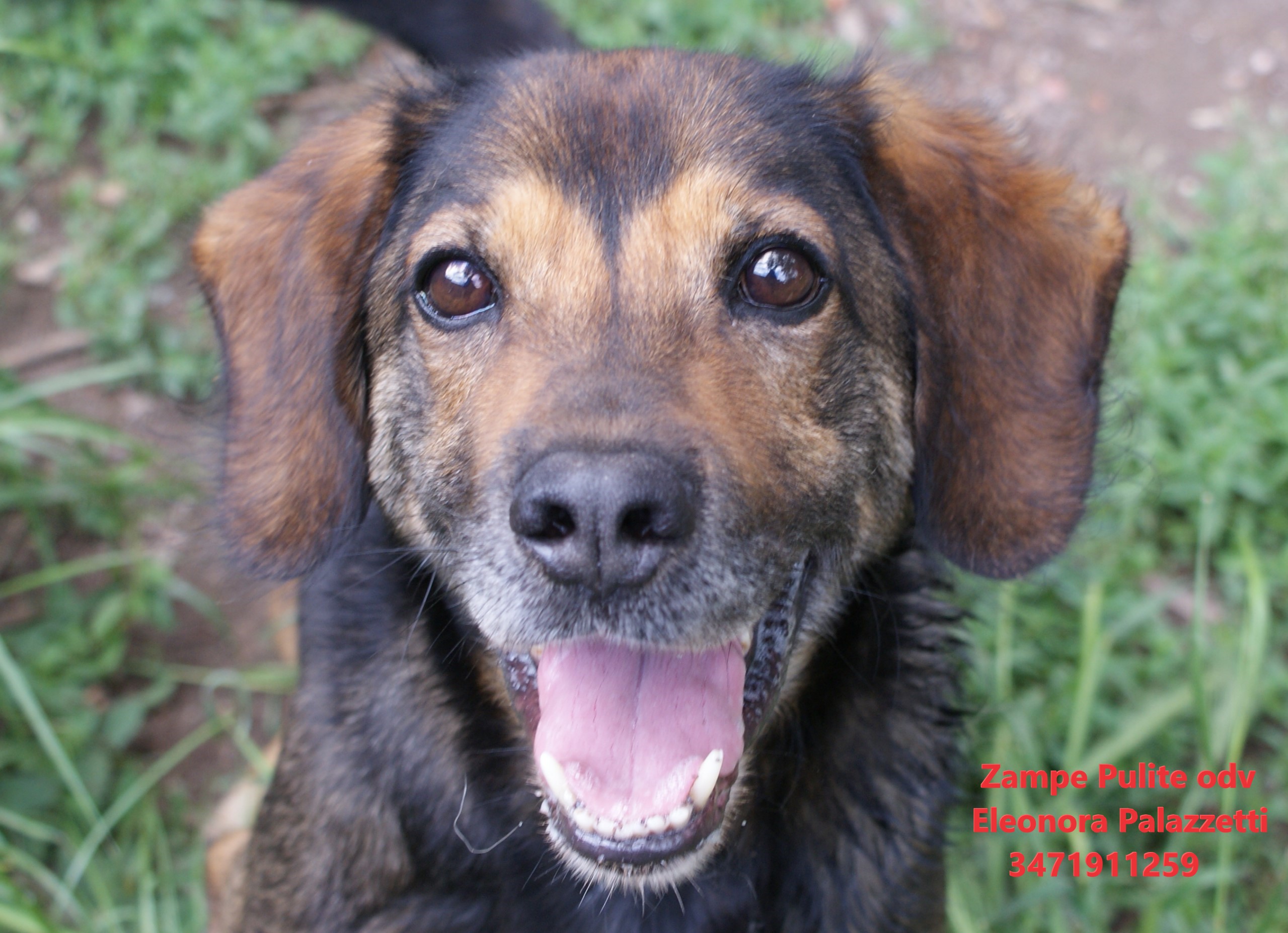 Toby 4.05.2023 n. 6