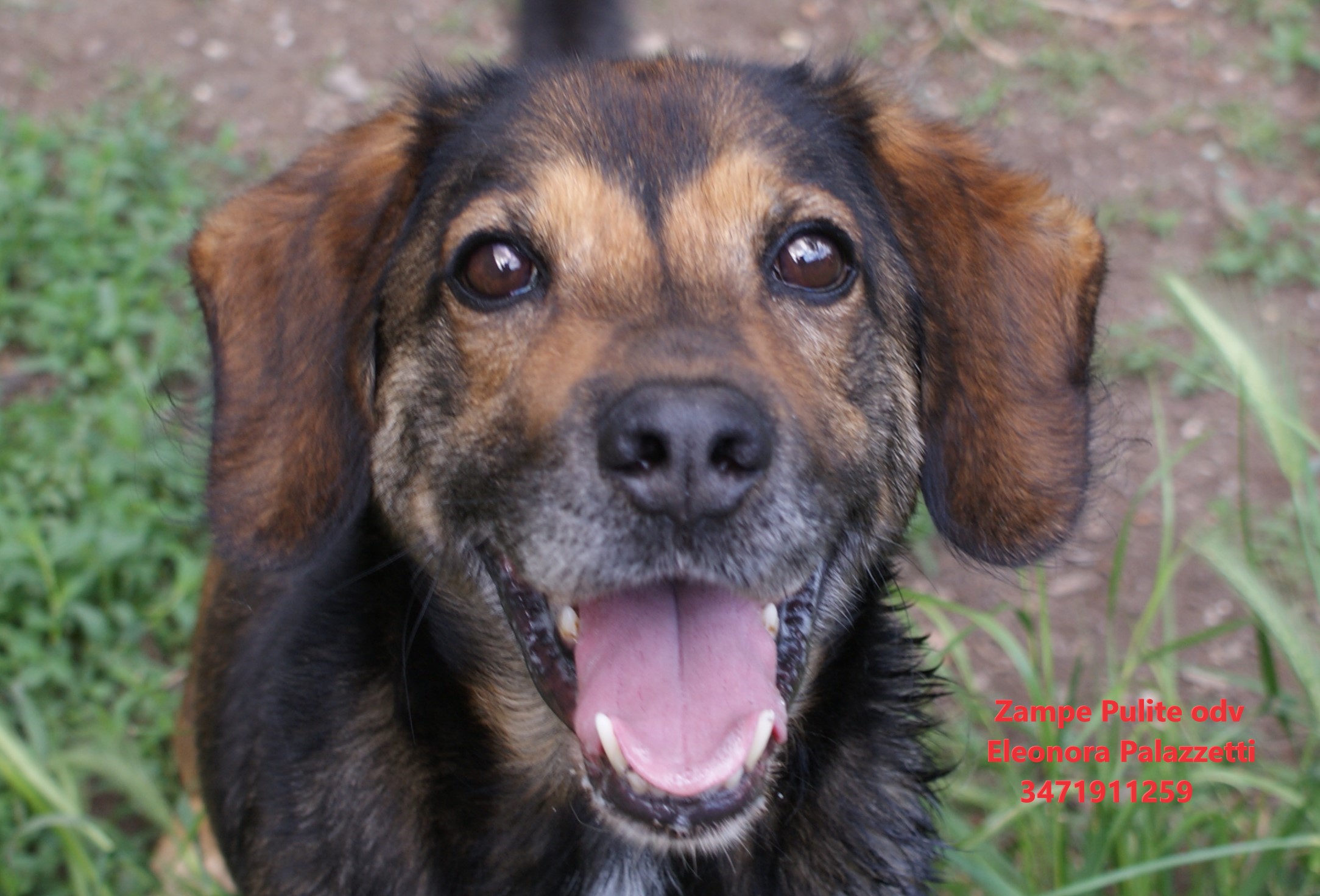 Toby 4.05.2023 n. 7