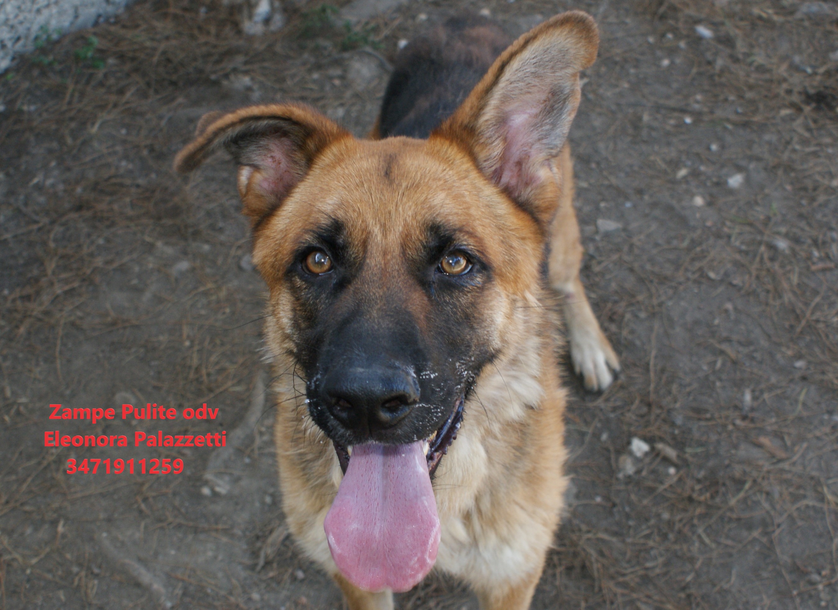 Turi 10.08.2023 n. 3