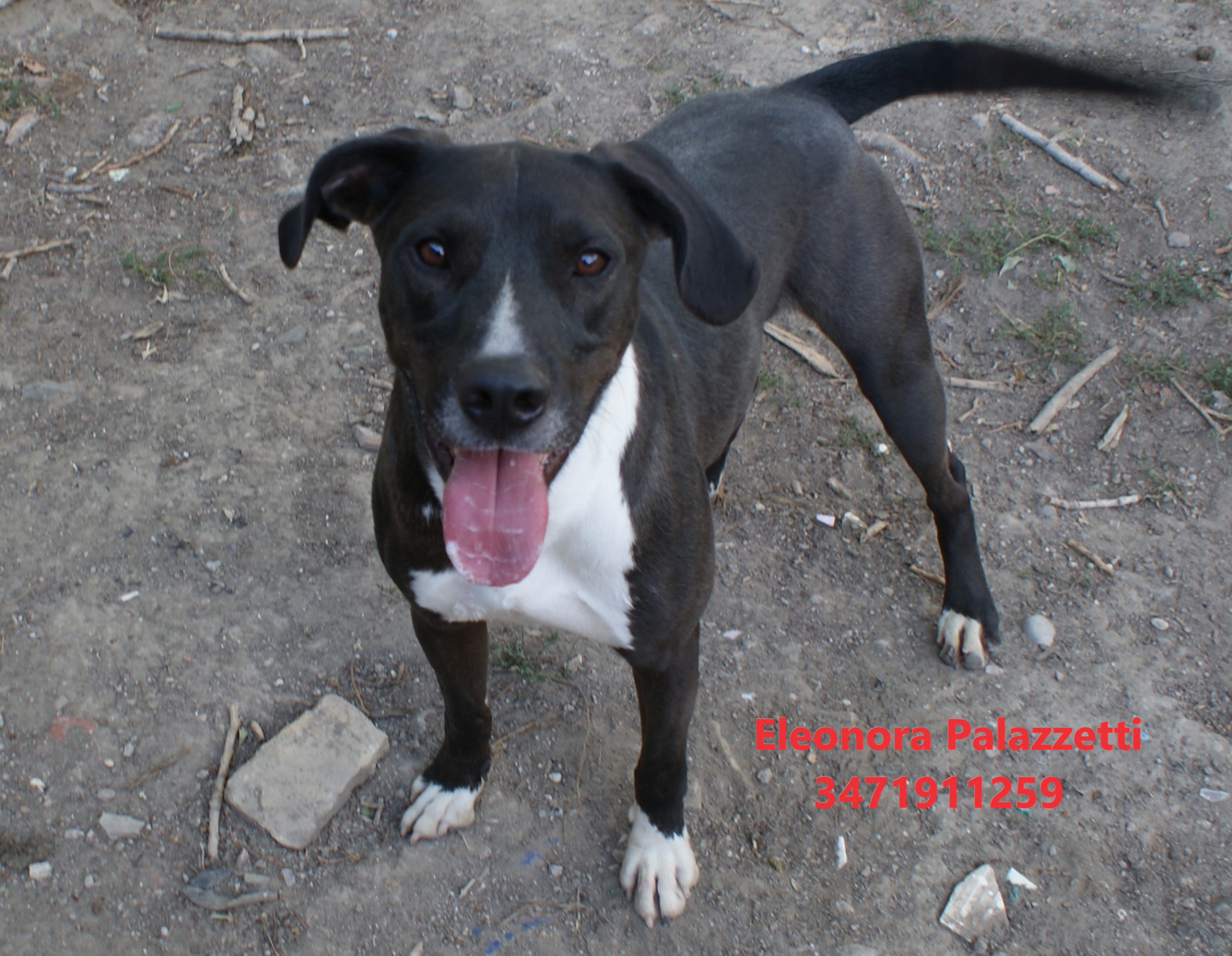 Amos Junior 22.9.2022 n. 4