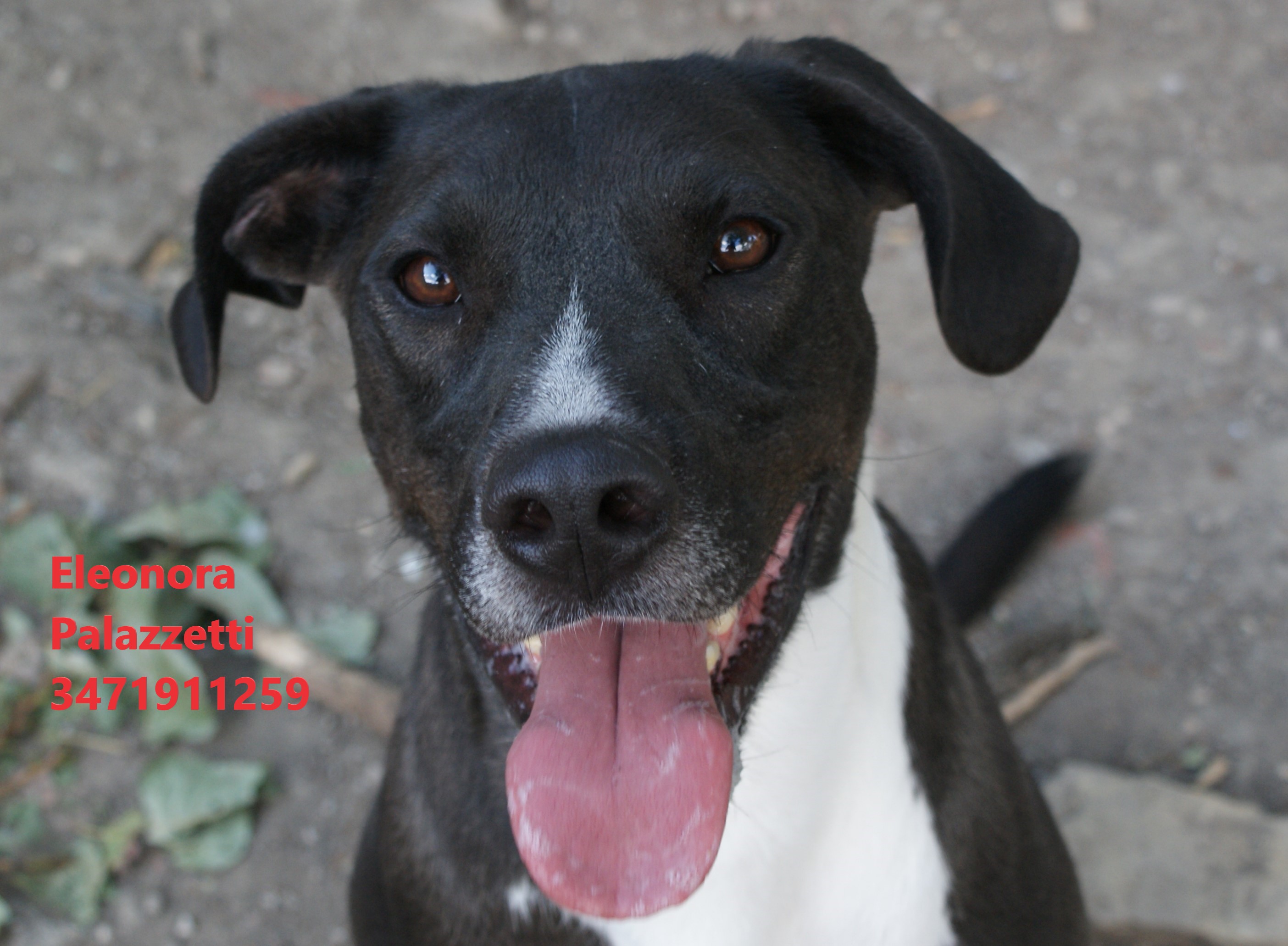 Amos Junior 22.9.2022 n. 5