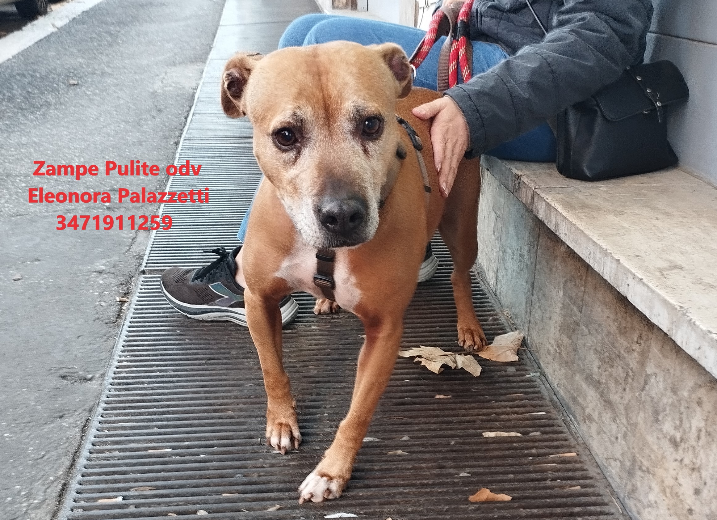 Bulla 14.12.2023 n. 4