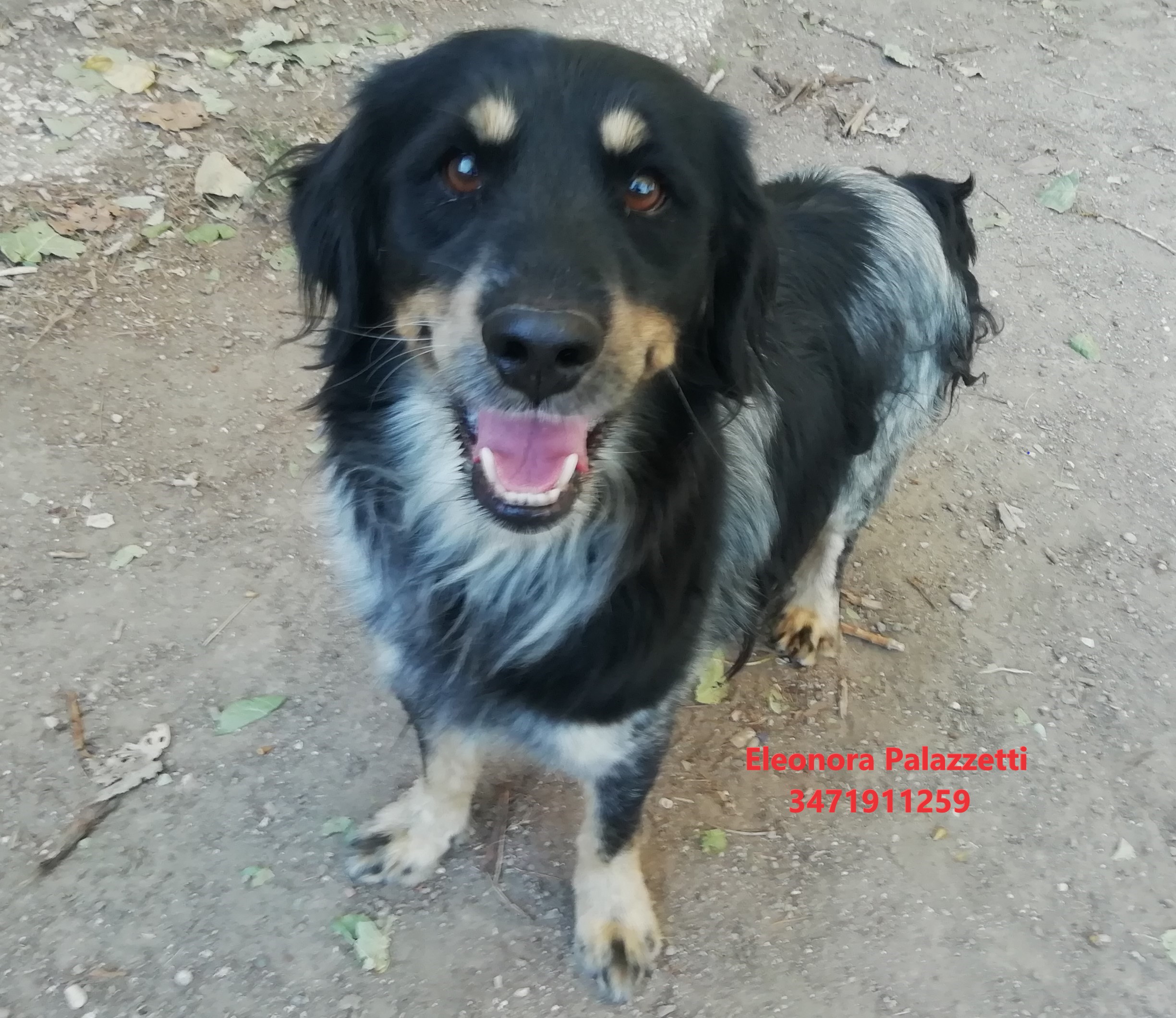 Obbi Wan 22.9.2022 n. 9
