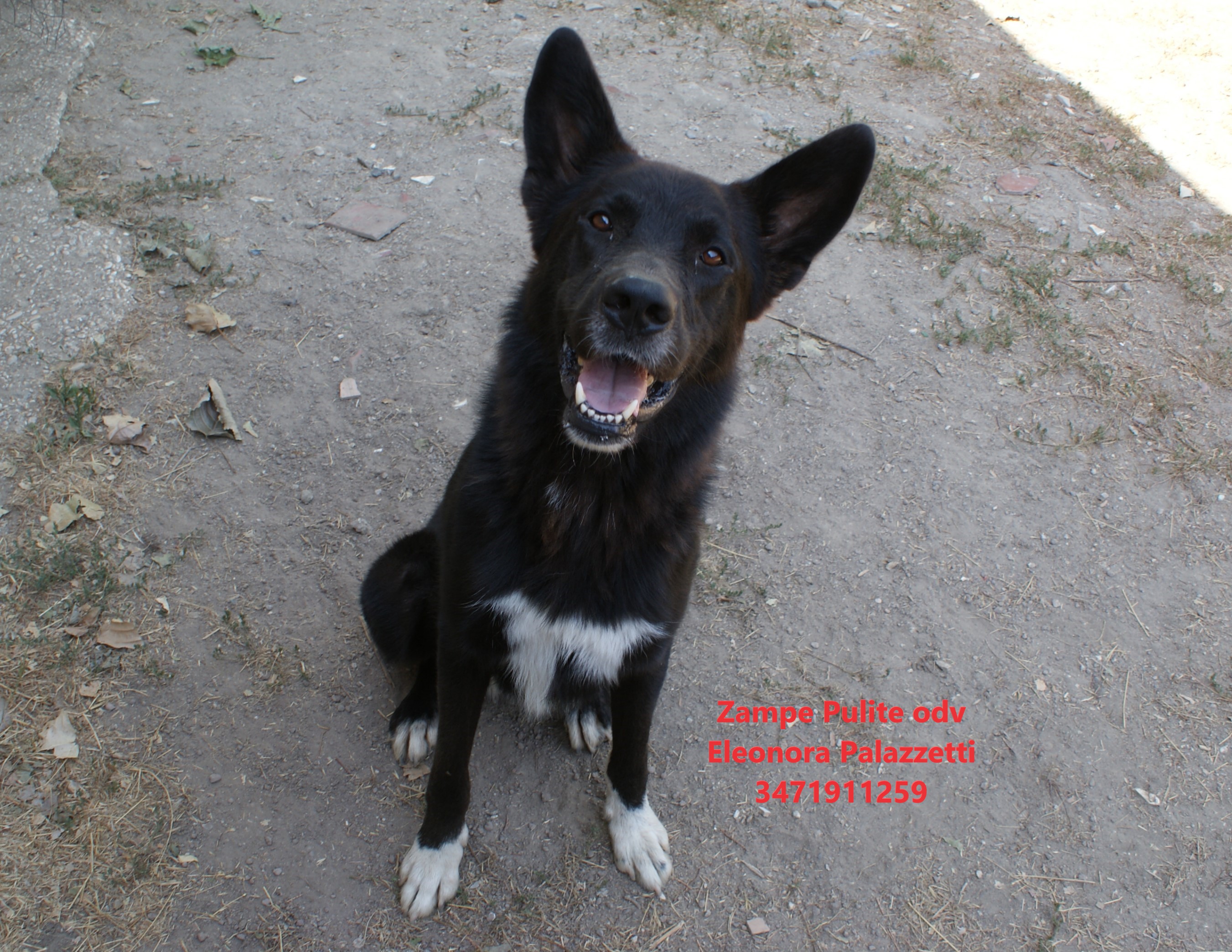 Gimmy 9.08.2024 n. 3