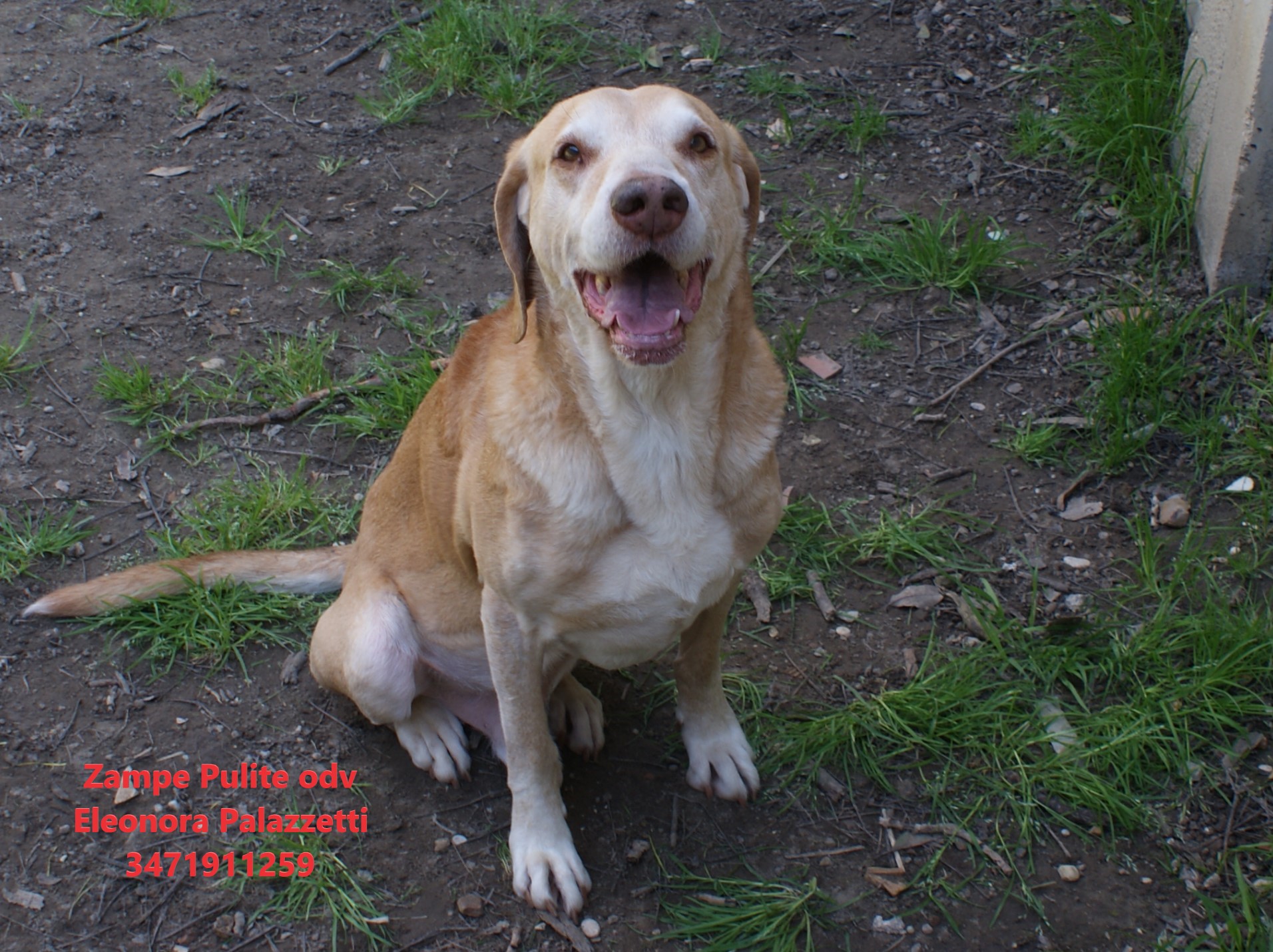 Camillo 26.03.2025 n. 9