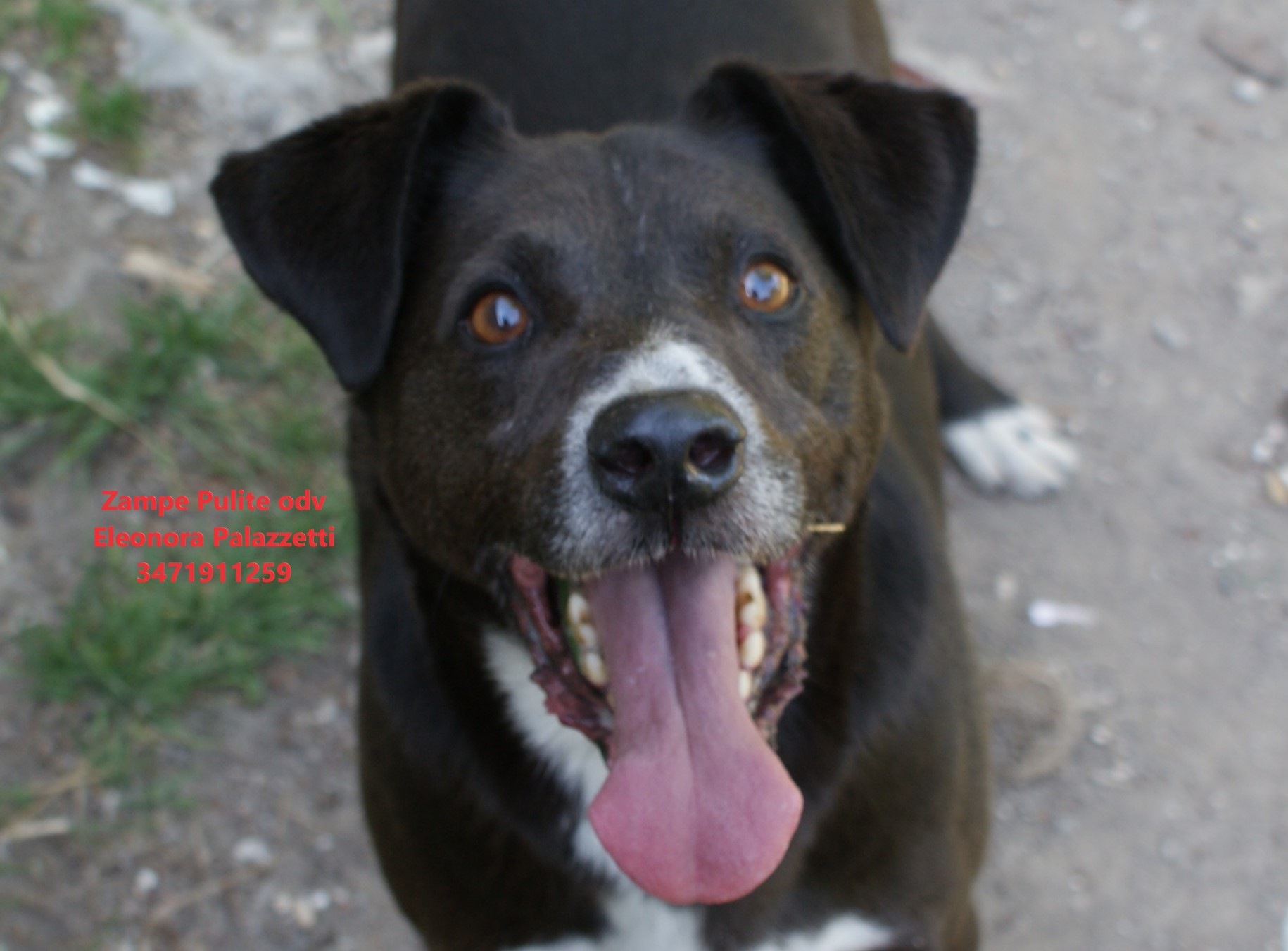 Otto 23.04.2026 n. 10