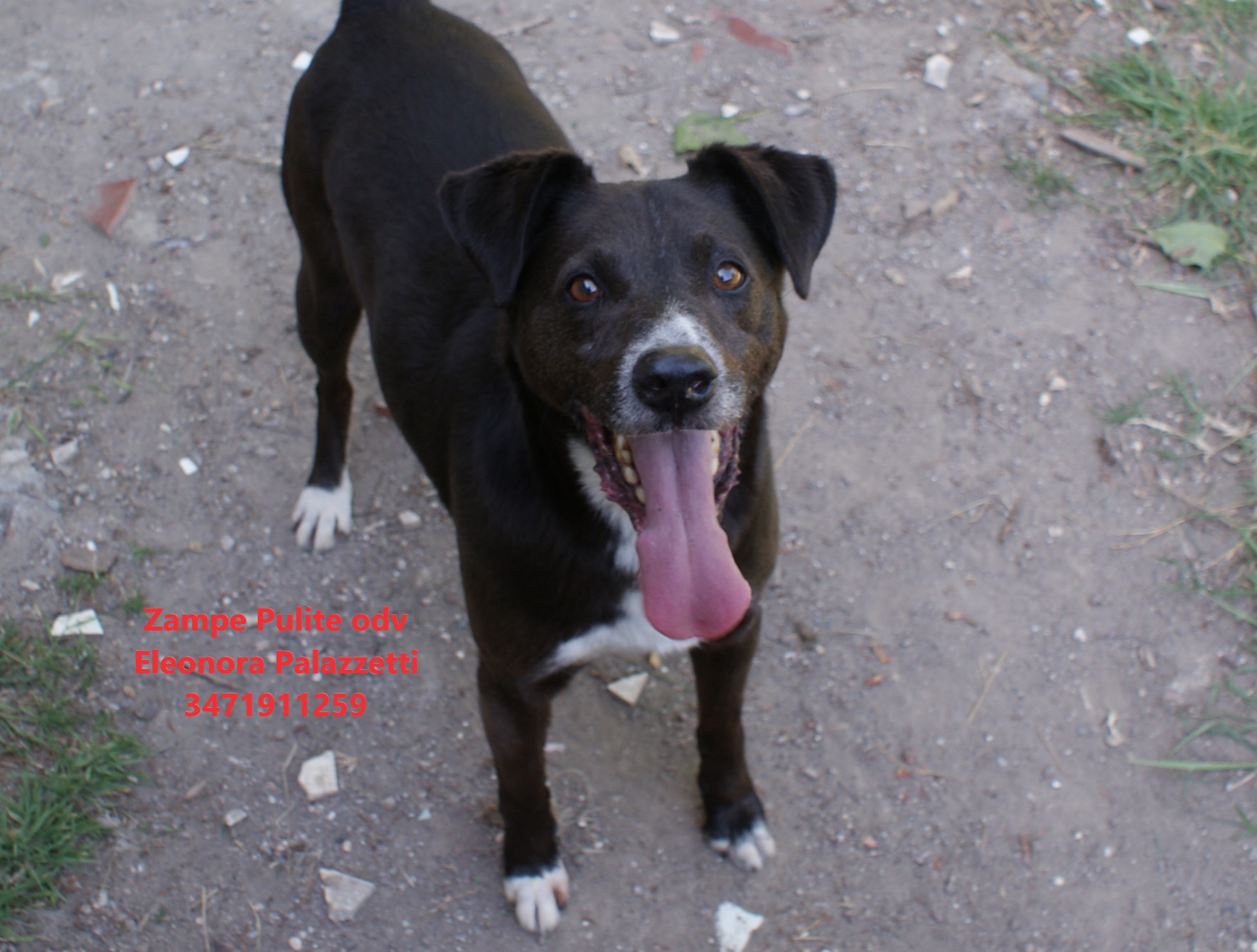 Otto 23.04.2026 n. 13