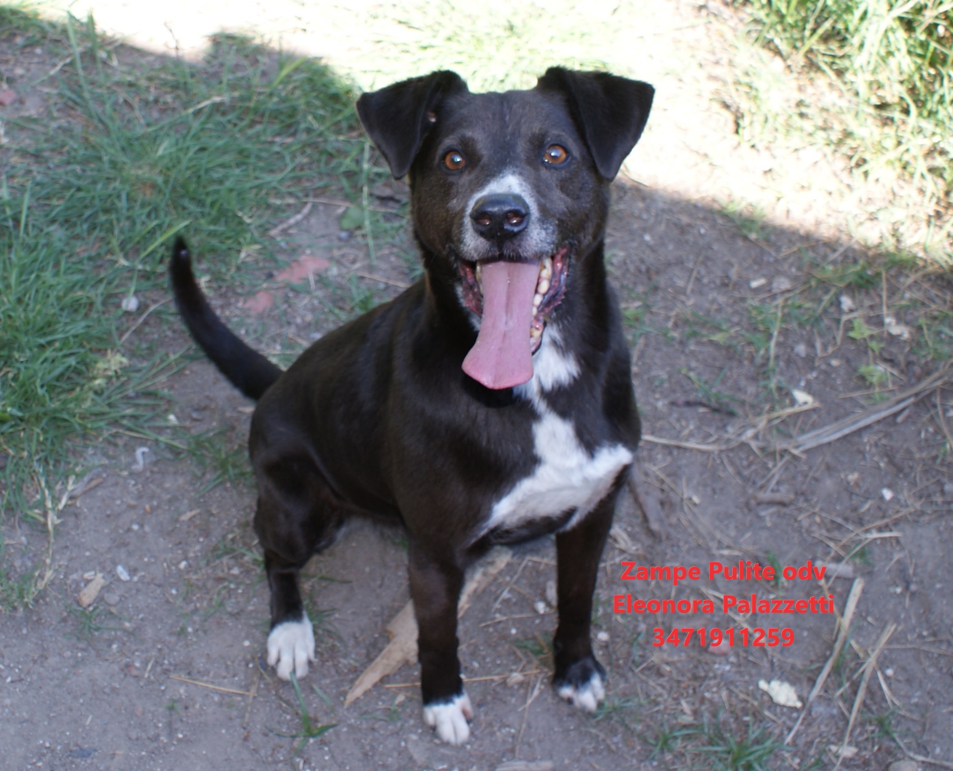 Otto 23.04.2026 n. 5