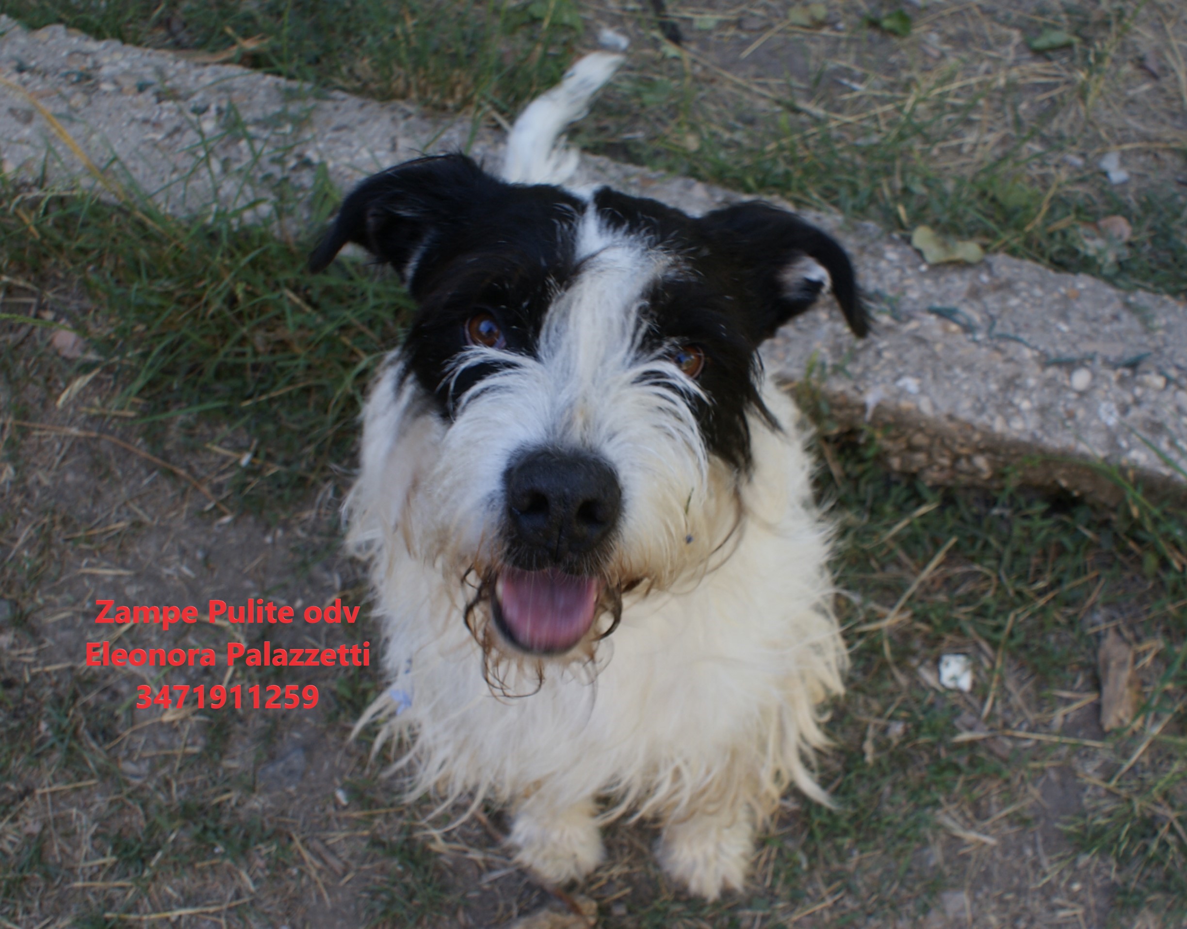 Watson 16.06.2026 n. 13