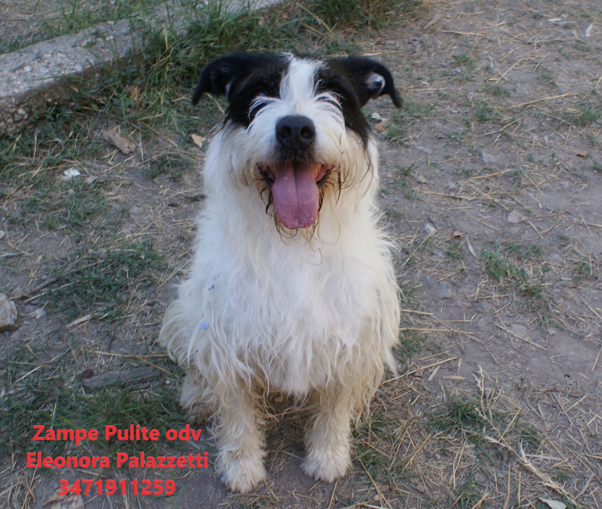 Watson 16.06.2026 n. 3