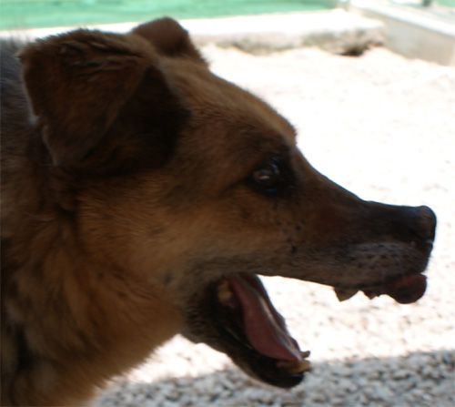 asia_18.06.2012_n._3.jpg