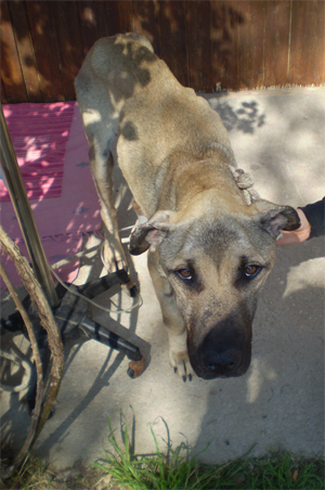 asten_22.3.09__n.2.jpg