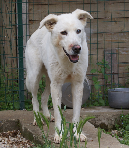 bianchina_19.04.2012_n._7.jpg