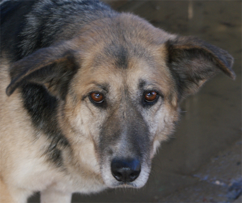 demy_22.02.2012_n._2.jpg