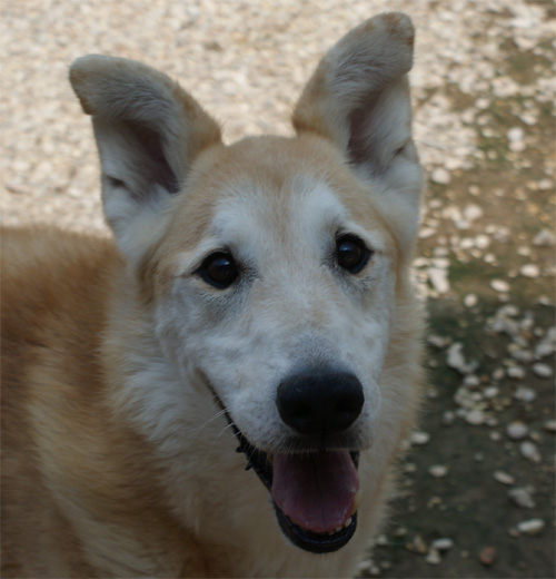 gupy_21.09.2012_n._3.jpg