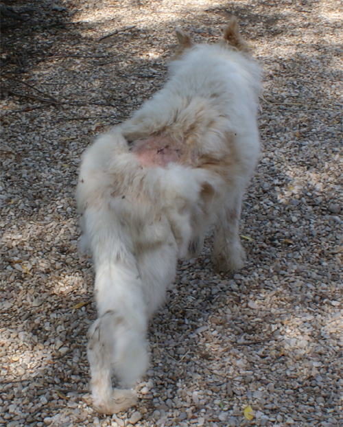indio_1.06.2012_n._1.jpg