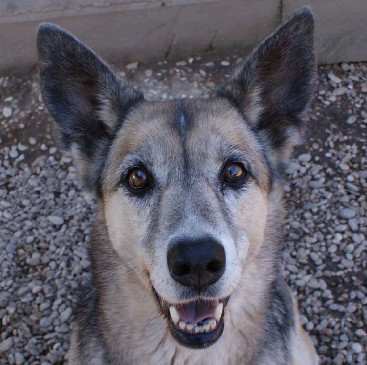 ofelia_1.03.2012_n._1.jpg