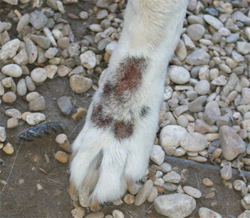 penny_11.05.2012_n._2.jpg
