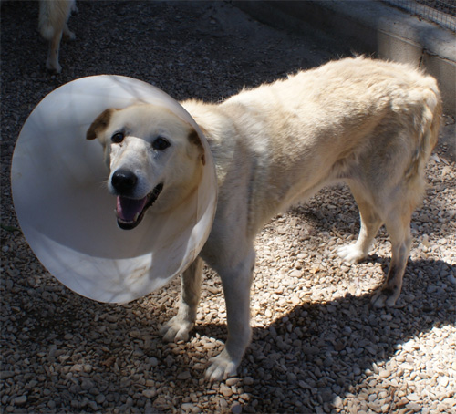 penny_16.07.2012_n._2.jpg