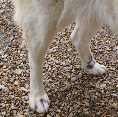 penny_19.04.2012_n._4.jpg