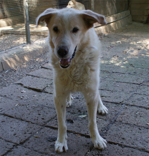 ulisse_08.08.2012_n._4.jpg