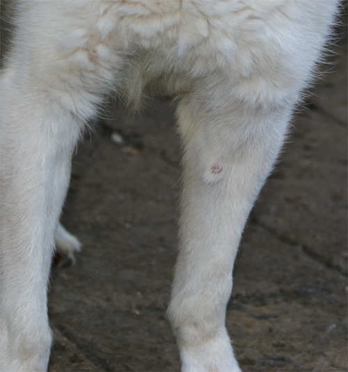ulisse_30.07.2012_n._2.jpg