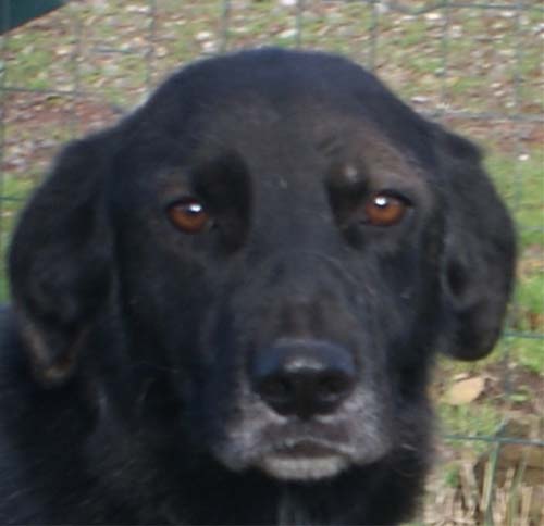 wendy_27.12.2009_muso3.jpg