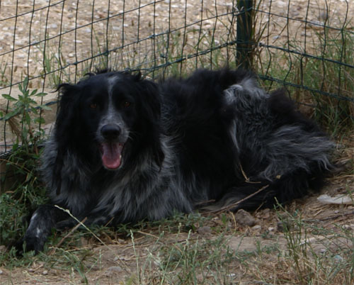 zen_24.7.2011_n._2.jpg